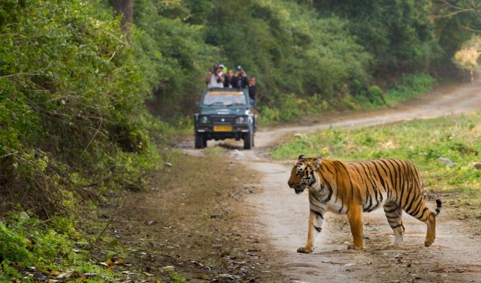 Jim Corbett